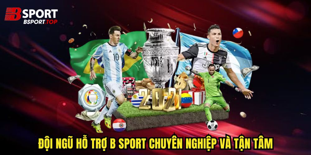 Đội ngũ hỗ trợ B sport chuyên nghiệp và tận tâm